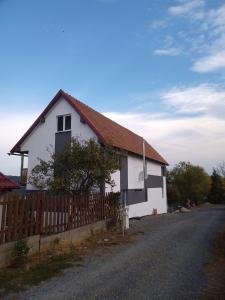 Lake Surduc house for rent