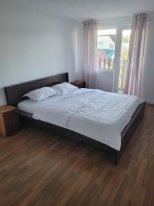 Lake Surduc house for rent