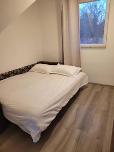 Lake Surduc house for rent