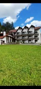 Pensiunea Stefania - 红湖