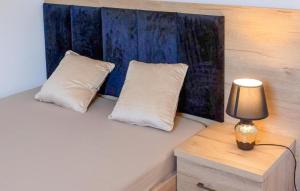 Amazing Home In Wodnica With Wifi