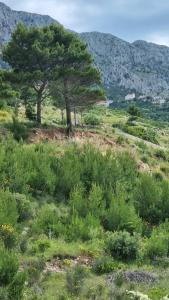 Apartmani Ankica Ruskamen