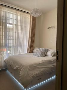 Warm and Cozy Modern Apartment