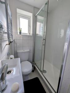 Large Studio with Private Kitchen and Bathroom