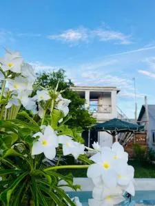 Nurzanzi House - Dikoni