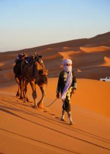 Standard camp merzouga - Ubytování bez kategorie ve městě Merzouga