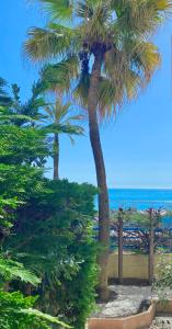 Beach and Sea View