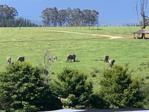 Elephant View Homestead