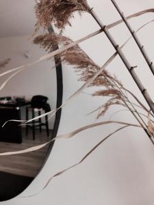 Boho Studio 4 pools 10min to the beach