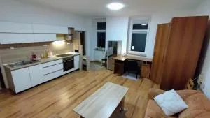 Tichá priestranná garsónka v centre mesta - Rybárpole