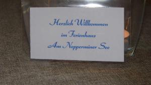 Ferienhaus am Nepperminer See