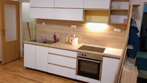 Tichá priestranná garsónka v centre mesta