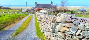 Bryn Teg Barn