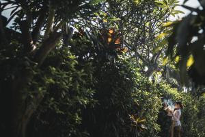 Aradhana Villas by Ekosistem