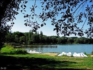 Maisons de vacances Les Altheas - Gite familial avec terrasses - Sarlat : photos des chambres