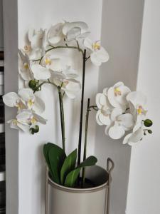 Studio apartment S&N