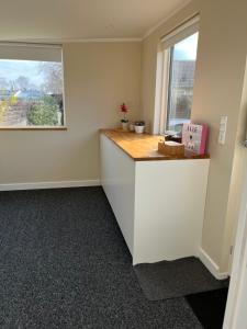 Cosy Guesthouse near Copenhagen