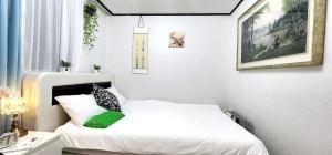 Ozo stay#Amsa Station 11minutes# Lotte World#Kspo Dome#JYP