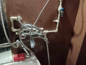 На пъпа на Варна, голяма стая!