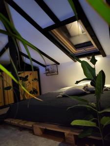 Къща за гости Mia Maria