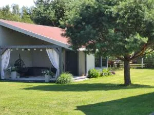 Mazurska Sosenka - Wygryny