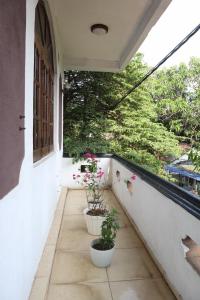 Story House