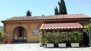 IL CARNASCIALE PIEVE di CAMAIORE - Fienile