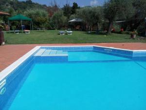 IL CARNASCIALE PIEVE di CAMAIORE - Fienile