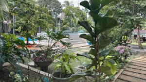 Lenjawi Resort and Events Place