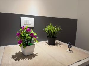 Franciacorta Bergamo Airport Suite Apartment