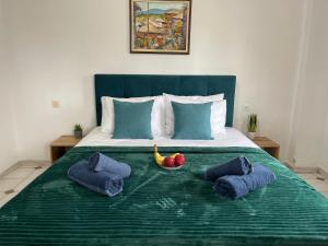 Ioannis Grand House