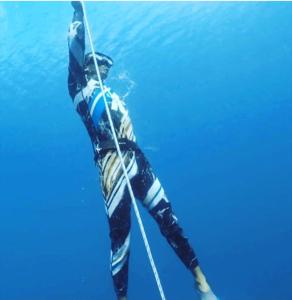 Whale sharks tour agency