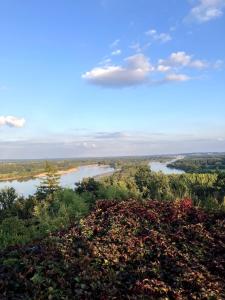 Chateau avec une vue sur la Loire