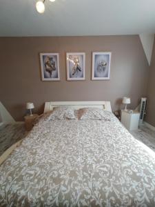 La Maison au bord de Saône