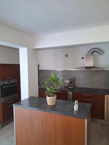 Appartements Funtanella II : photos des chambres