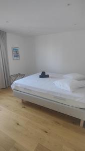 Appartements Superbe appartement 4 Pieces - Acces Piscine : photos des chambres