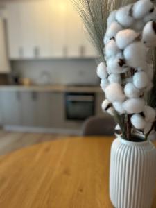 Bucovina Home Apartament