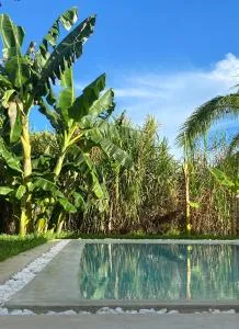 Lions Luxury Villa 3 - ZANZIBAR - Private Cook&Infinty Pool - Kumba Urembo