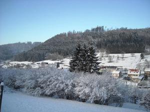 Maisons de vacances Cute and atmospheric chalet with magnificent view in the middle of the Vosges : photos des chambres