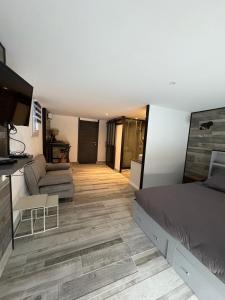 B&B / Chambres d'hotes La toulousaine : photos des chambres
