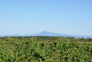 Campings Camping Le Dolium : photos des chambres