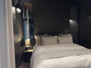 Black Villa, Aurora View Bath & Sauna, Private Design Villa in Lapland