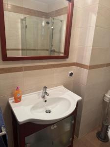 Mieszkanie Śródmieście