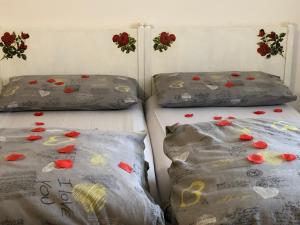 Double or Twin Room with Private Bathroom