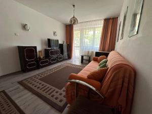 Apartament Tomis Park