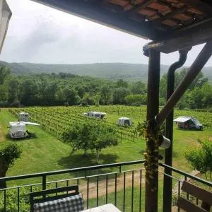 Purple Eye Camp & Winery - Kosić