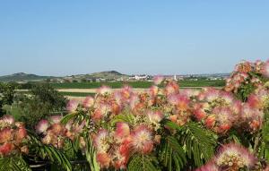 Appartement Sonnblick