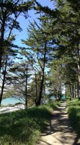 Maisons de vacances Kervig maison a 2 pas des plages : photos des chambres