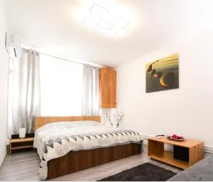 Central Grey Studio Hateg - Sîntămăria-Orlea