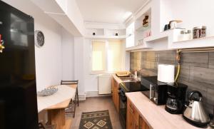 Central Grey Studio Hateg